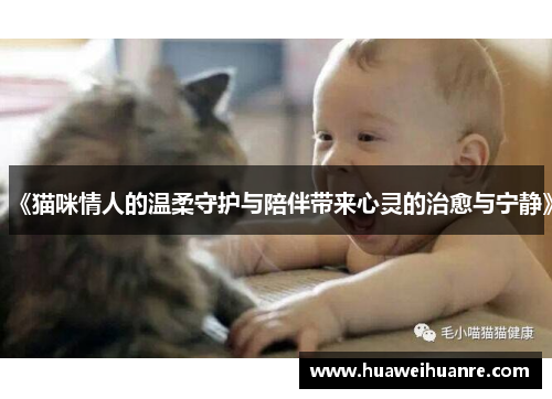 《猫咪情人的温柔守护与陪伴带来心灵的治愈与宁静》