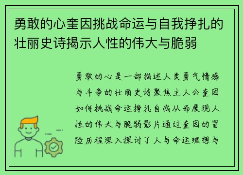 勇敢的心奎因挑战命运与自我挣扎的壮丽史诗揭示人性的伟大与脆弱